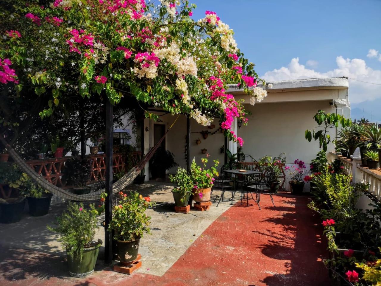 El Diablo Y La Sandia B&B Oaxaca Exterior photo